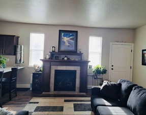 Living area with wood finished floors, plenty of natural light, a fireplace, and a textured ceiling