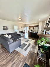 Living room featuring dark wood-style floors, recessed lighting, and a textured ceiling