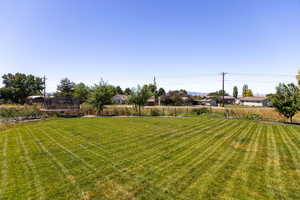 View of grassy yard featuring a trampoline