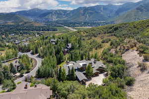 Drone / aerial view of a mountain backdrop and a forest