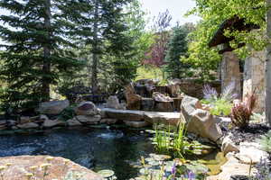 View of yard with a garden pond and a patio area