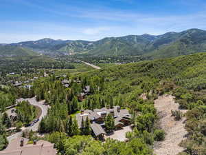 Bird's eye view of a forest and a mountain backdrop
