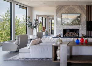Living area featuring a premium fireplace