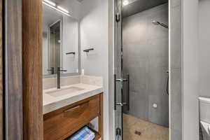 Full bathroom featuring vanity and a stall shower