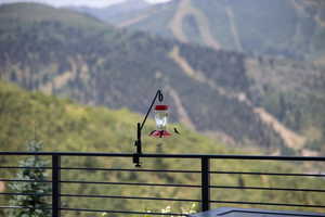 Mountain view