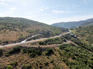 View of mountain backdrop with a forest