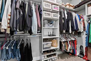 Walk in closet featuring carpet floors
