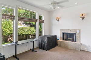 Library With Fireplace