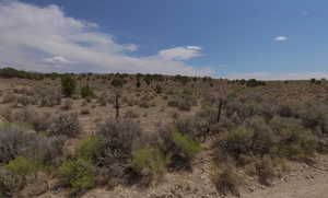 View of local wilderness with a desert landscape and rural landscape