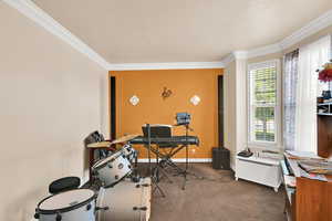 Carpeted home office with crown molding and a textured ceiling
