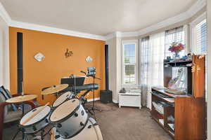 Recreation room featuring crown molding, a textured ceiling, and dark carpet