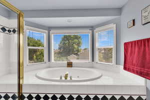 Full bathroom with plenty of natural light, a tub with jets, and a stall shower