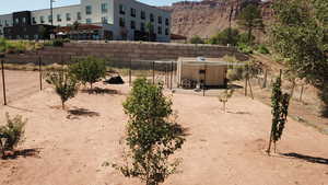 Fruit Tree and outbuilding.