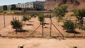 View of enclosed Fruit Trees.