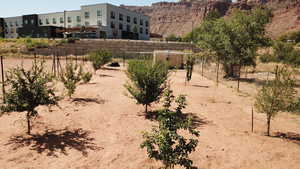 Fruit Tree and outbuilding.