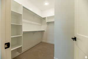 Walk in closet with light colored carpet