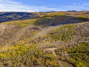 View of mountain backdrop with a forest