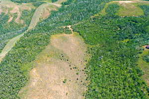 Aerial view of property's location