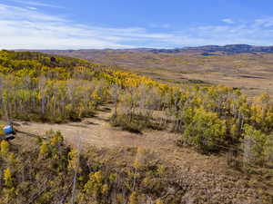 Mountain view featuring a forest