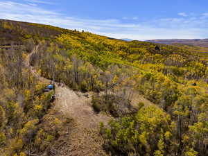 Aerial view of a heavily wooded area