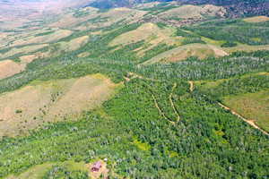 Aerial view of property and surrounding area with a forest