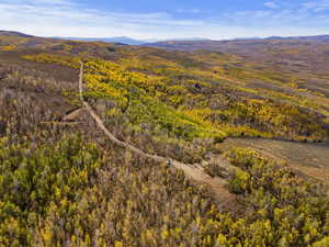 View of mountain background with a heavily wooded area
