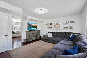 Living room featuring dark wood-type flooring
