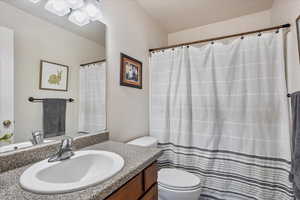 Full bath featuring vanity, a chandelier, and curtained shower