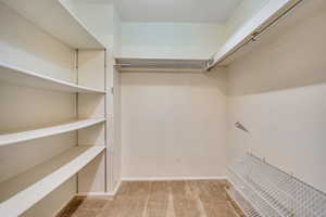 Spacious closet featuring light colored carpet