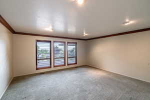 Unfurnished room with crown molding, carpet floors, and a textured ceiling