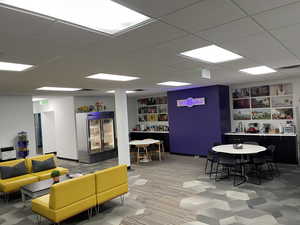 Recreation room with a drop ceiling, built in features, and carpet flooring