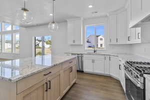 Kitchen with light brown cabinetry, stainless steel appliances, dark wood-style floors, white cabinets, and light stone counters