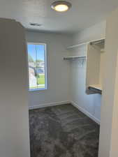 Spacious closet featuring dark carpet
