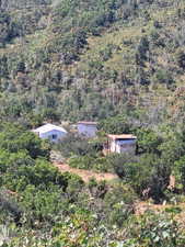 Bird's eye view of a heavily wooded area