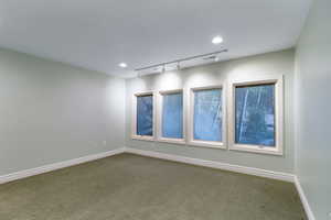 Spare room featuring carpet flooring, track lighting, and recessed lighting