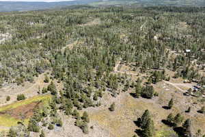 View of property location featuring a forest