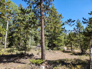 View of undeveloped land
