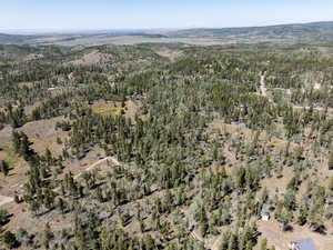 View of property location featuring a forest