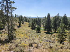 View of undeveloped land with rural landscape