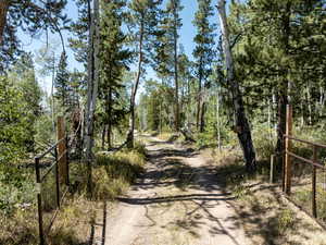 View of dirt / gravel road featuring a view of trees