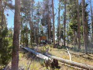 View of yard with a patio