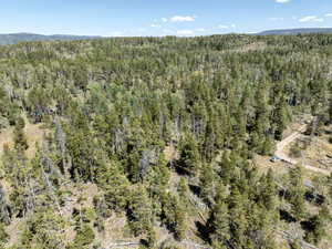 Bird's eye view of a heavily wooded area