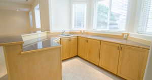 Kitchen with a peninsula, healthy amount of natural light, and light flooring