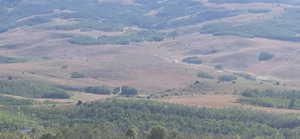 View of mountain backdrop with a heavily wooded area