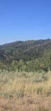View of mountain backdrop featuring a forest
