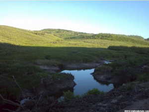 View of nature with a large body of water