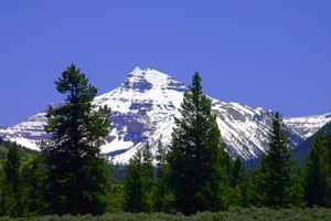 View of mountain background with a forest