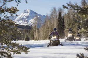 View of mountain backdrop with a heavily wooded area