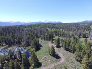 Aerial view of property and surrounding area with a forest and a mountain backdrop