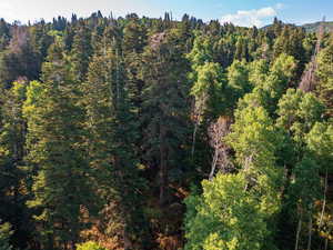 Aerial view of property's location with a heavily wooded area